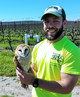 Dane in a vineyard holding an owl
