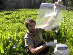 Ryan Kalinowski - in the field holding a specimen rat in a bag