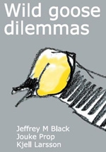 Wild Goose Dilemmas book cover